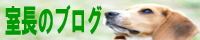 AƋK,,쐬